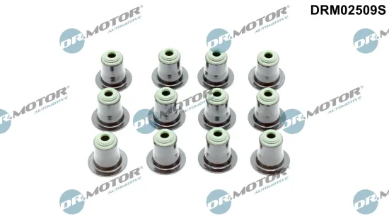 Dichtungssatz, Ventilschaft Dr.Motor Automotive DRM02509S Bild Dichtungssatz, Ventilschaft Dr.Motor Automotive DRM02509S