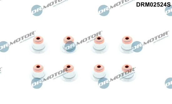 Dichtungssatz, Ventilschaft Dr.Motor Automotive DRM02524S Bild Dichtungssatz, Ventilschaft Dr.Motor Automotive DRM02524S