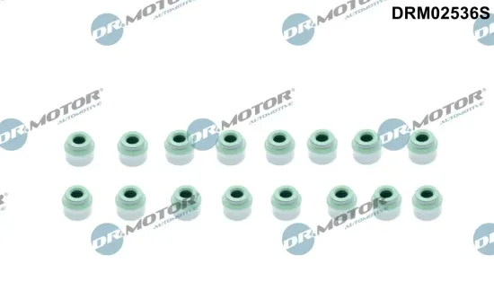 Dichtungssatz, Ventilschaft Dr.Motor Automotive DRM02536S Bild Dichtungssatz, Ventilschaft Dr.Motor Automotive DRM02536S