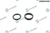 Dichtung, Nockenwellenverstellung Dr.Motor Automotive DRM02655S