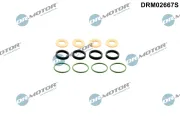 Dichtungssatz, Einspritzdüse Dr.Motor Automotive DRM02667S