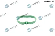 Dichtung, Ansaugkrümmer Dr.Motor Automotive DRM02794
