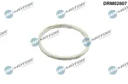 Dichtung, Abgasrohr vor Katalysator Dr.Motor Automotive DRM02807