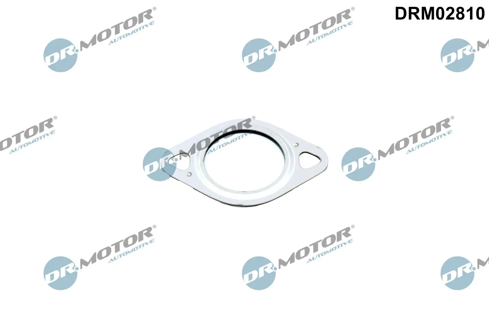 Dichtung, Leitung AGR-Ventil Dr.Motor Automotive DRM02810