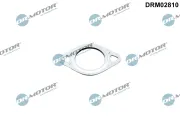 Dichtung, Leitung AGR-Ventil Dr.Motor Automotive DRM02810