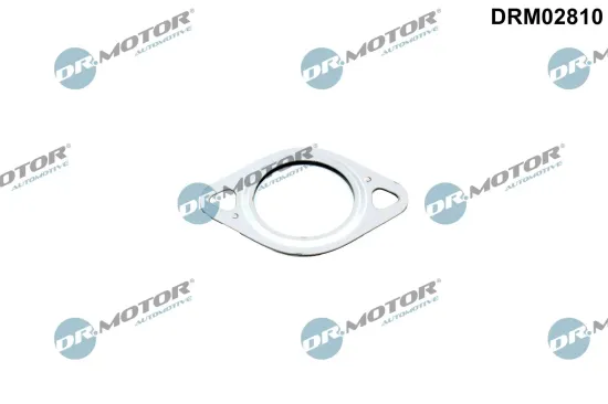 Dichtung, Leitung AGR-Ventil Dr.Motor Automotive DRM02810 Bild Dichtung, Leitung AGR-Ventil Dr.Motor Automotive DRM02810
