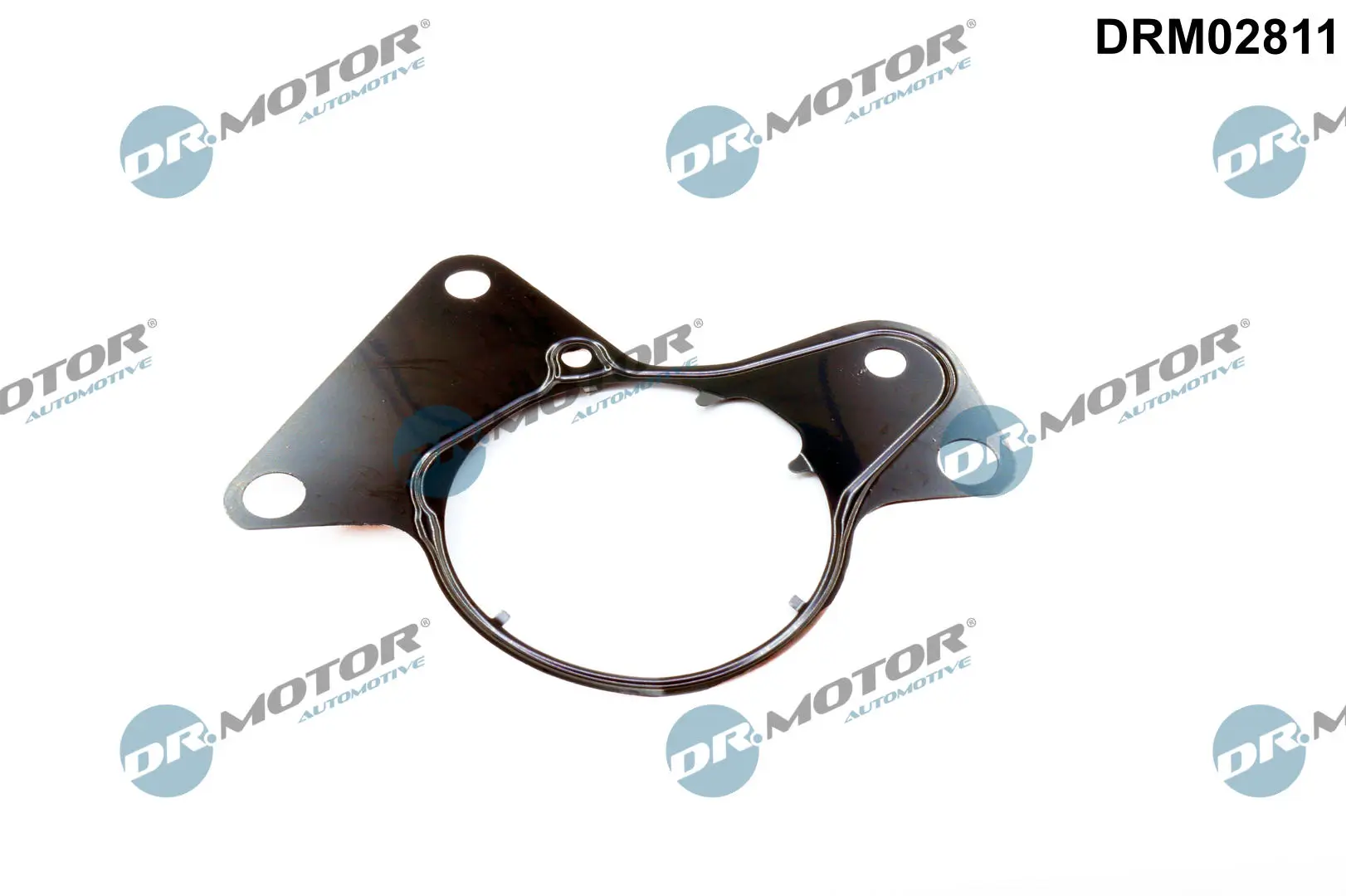 Dichtung, Kraftstoffpumpe Dr.Motor Automotive DRM02811