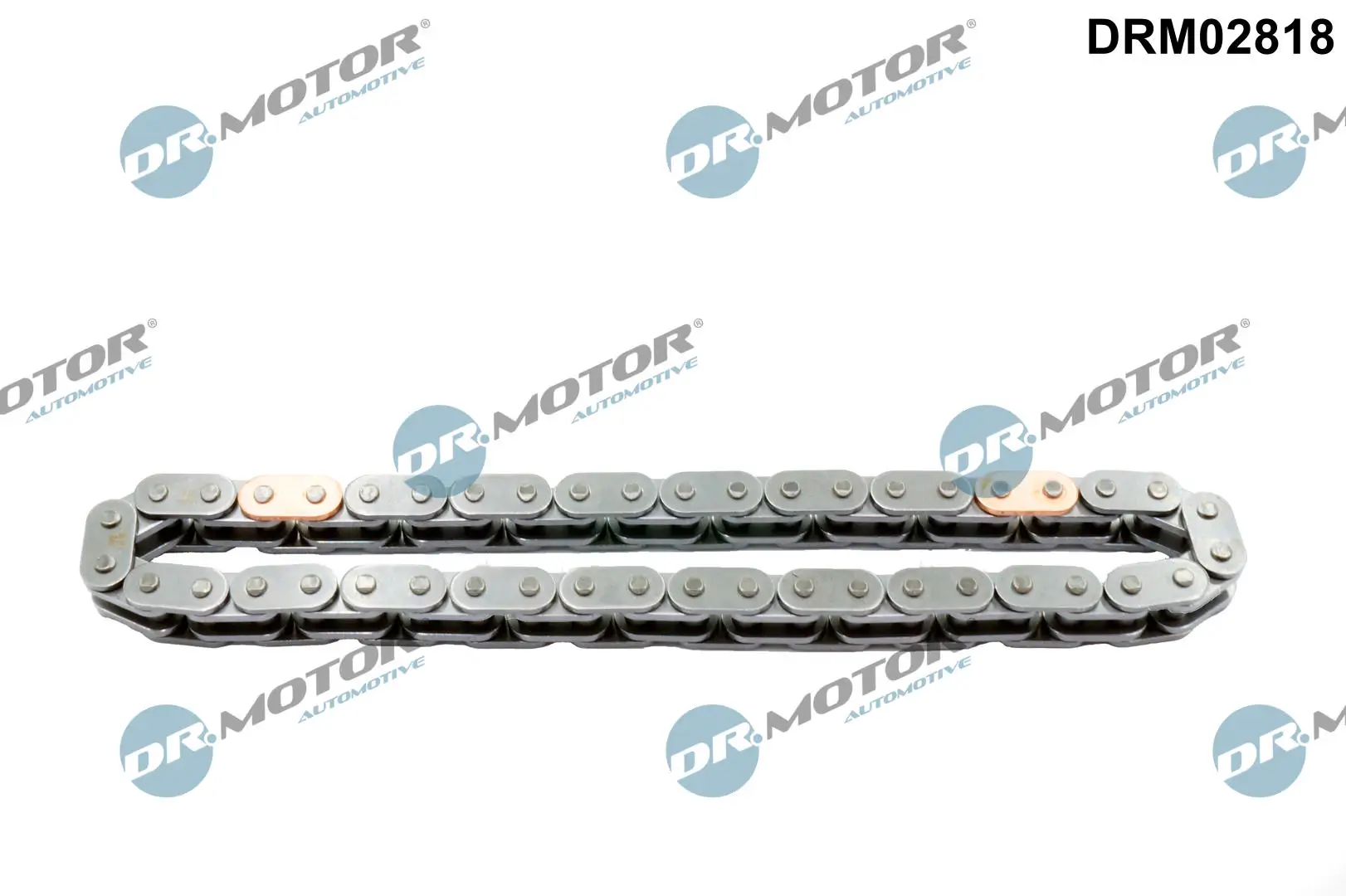 Steuerkette Dr.Motor Automotive DRM02818