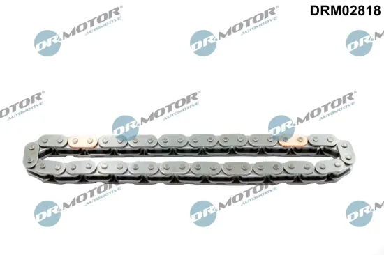Steuerkette Dr.Motor Automotive DRM02818 Bild Steuerkette Dr.Motor Automotive DRM02818
