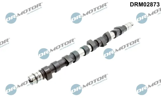 Nockenwelle Dr.Motor Automotive DRM02873 Bild Nockenwelle Dr.Motor Automotive DRM02873