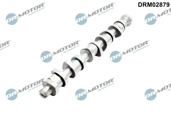 Nockenwelle Dr.Motor Automotive DRM02879 Bild Nockenwelle Dr.Motor Automotive DRM02879