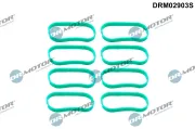 Dichtungssatz, Ansaugkrümmer Dr.Motor Automotive DRM02903S