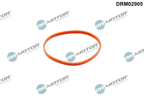 Dichtung, Drosselklappenstutzen Drosselklappengehäuse Dr.Motor Automotive DRM02905 Bild Dichtung, Drosselklappenstutzen Drosselklappengehäuse Dr.Motor Automotive DRM02905