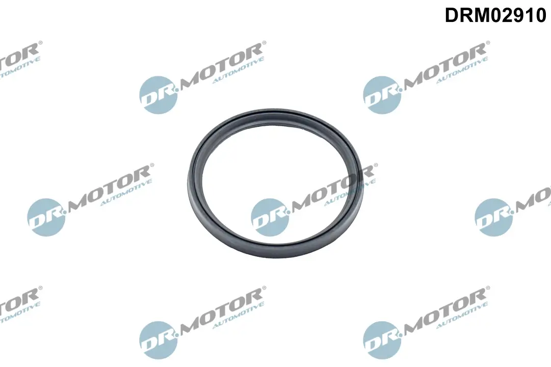 Dichtring, Lader Dr.Motor Automotive DRM02910
