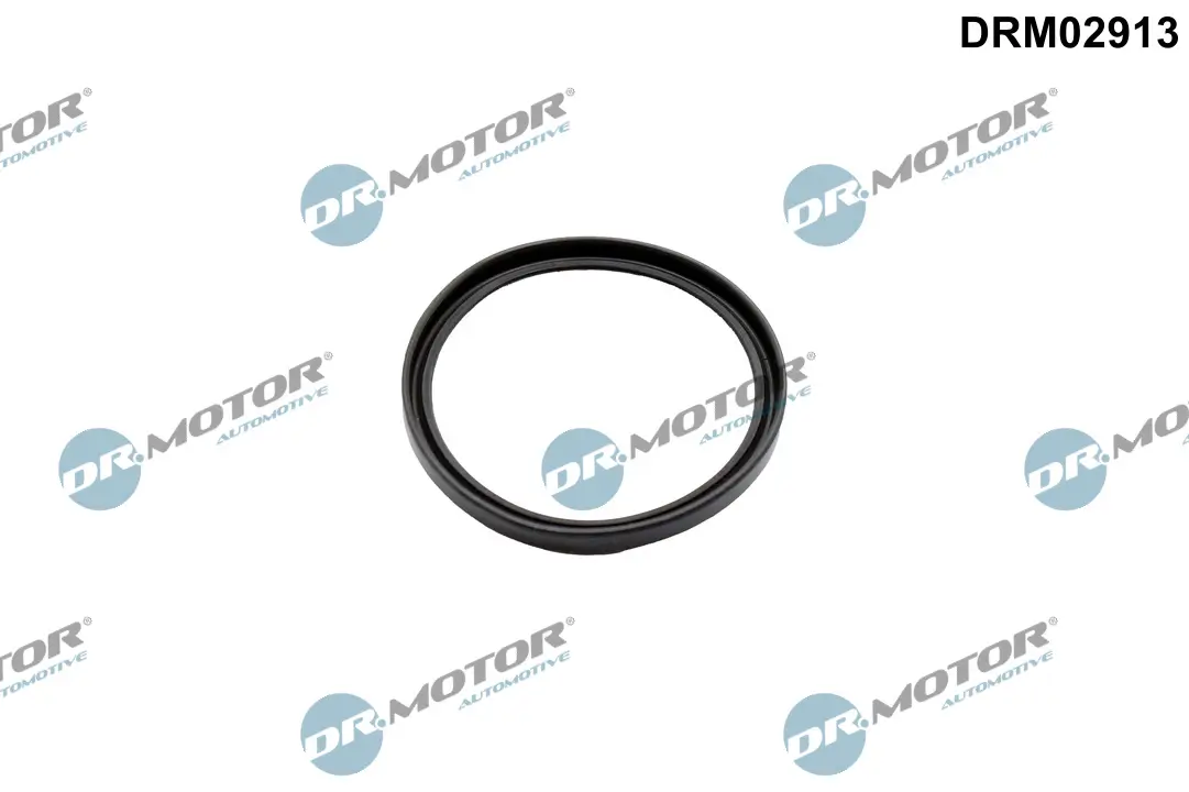 Dichtring, Lader Dr.Motor Automotive DRM02913