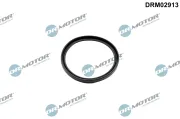 Dichtring, Lader Dr.Motor Automotive DRM02913