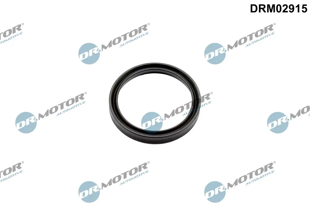 Dichtring, Lader Dr.Motor Automotive DRM02915