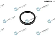 Dichtring, Lader Dr.Motor Automotive DRM02915