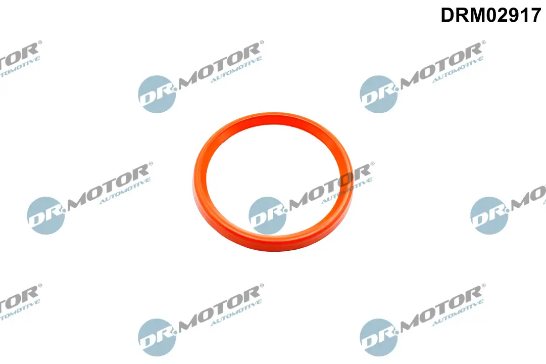 Dichtring, Lader Dr.Motor Automotive DRM02917