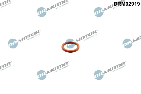 Dichtung, Ölauslass (Lader) Dr.Motor Automotive DRM02919 Bild Dichtung, Ölauslass (Lader) Dr.Motor Automotive DRM02919
