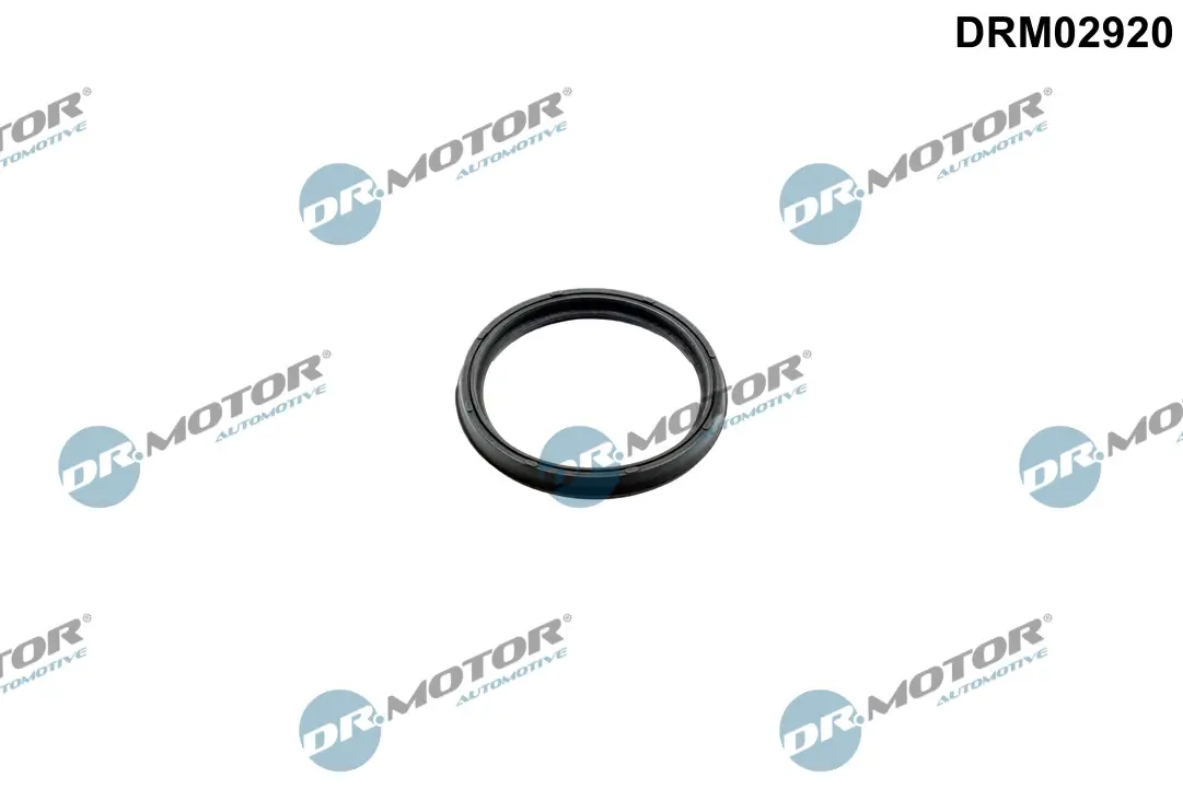 Dichtring, Lader Dr.Motor Automotive DRM02920