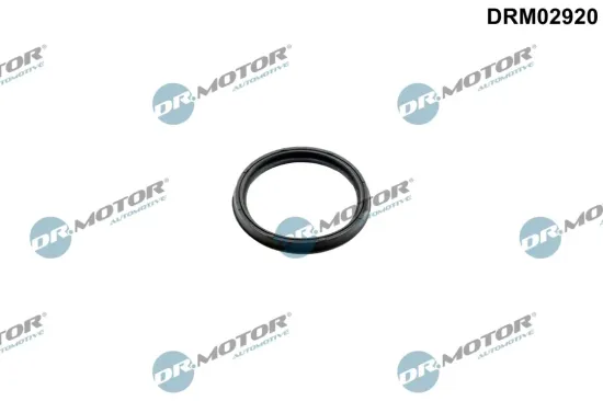 Dichtring, Lader Dr.Motor Automotive DRM02920 Bild Dichtring, Lader Dr.Motor Automotive DRM02920