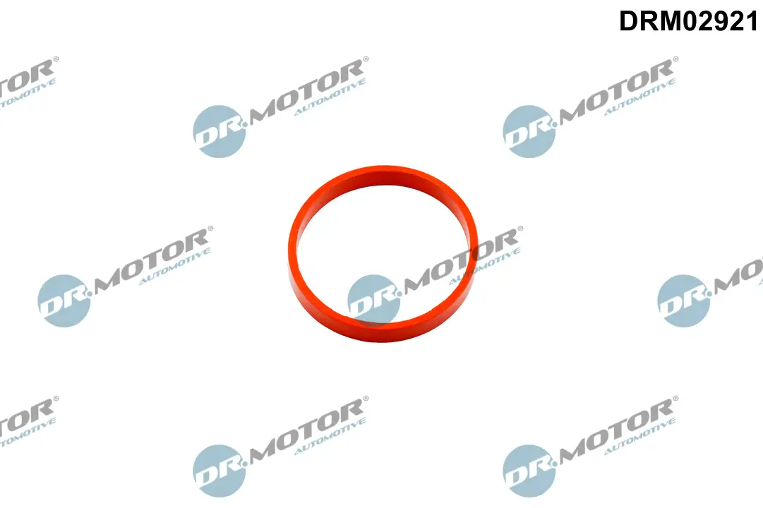 Dichtring, Lader Dr.Motor Automotive DRM02921