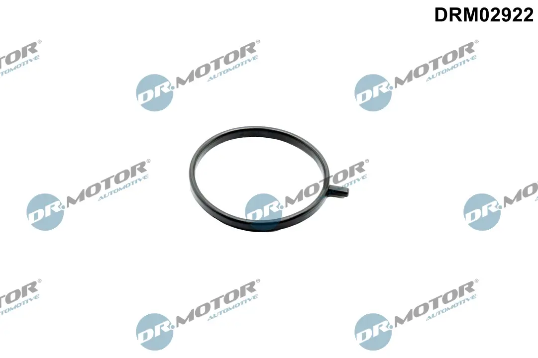 Dichtring, Lader Dr.Motor Automotive DRM02922