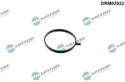 Dichtring, Lader Dr.Motor Automotive DRM02922