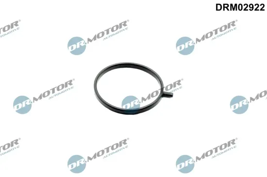 Dichtring, Lader Dr.Motor Automotive DRM02922 Bild Dichtring, Lader Dr.Motor Automotive DRM02922