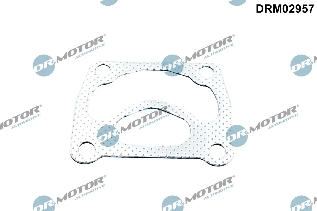 Dichtung, Lader Dr.Motor Automotive DRM02957