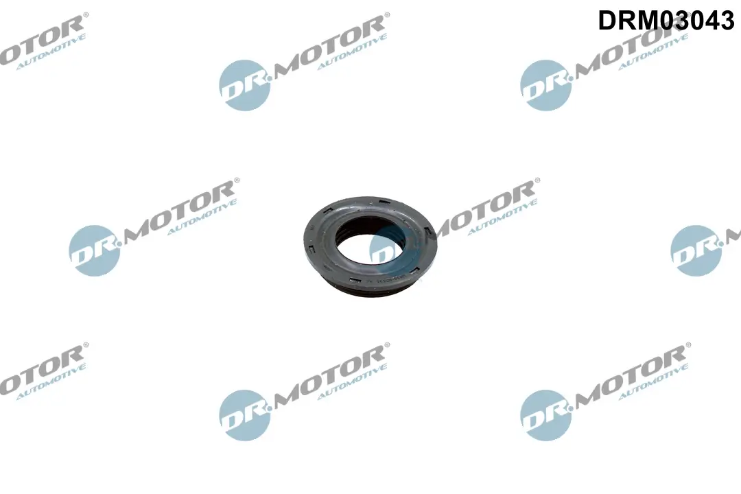 Dichtung, Düsenhalter Dr.Motor Automotive DRM03043