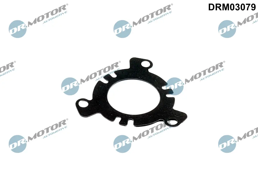 Dichtung, Einspritzpumpe Dr.Motor Automotive DRM03079