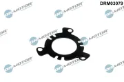 Dichtung, Einspritzpumpe Dr.Motor Automotive DRM03079