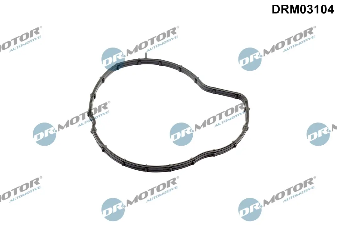 Dichtung, Wasserpumpe Dr.Motor Automotive DRM03104