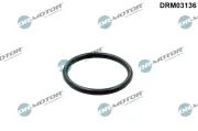 Dichtung, Kühlmittelrohrleitung Dr.Motor Automotive DRM03136