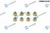 Dichtungssatz, Ventilschaft Einlassseite Dr.Motor Automotive DRM03303S