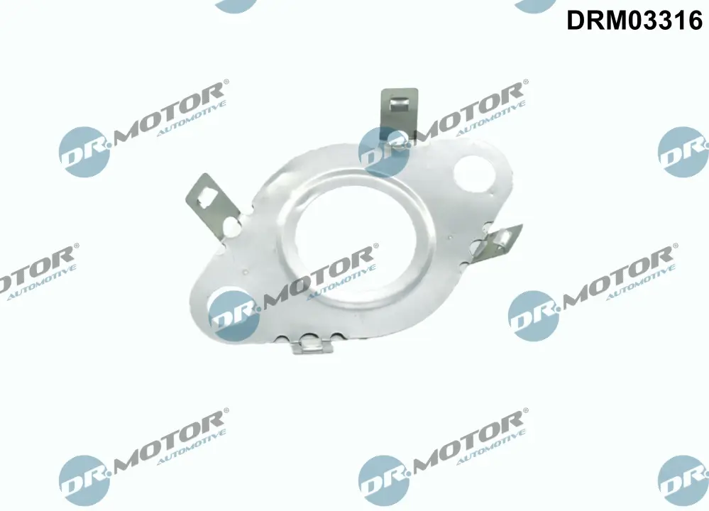 Dichtung, Leitung AGR-Ventil Dr.Motor Automotive DRM03316