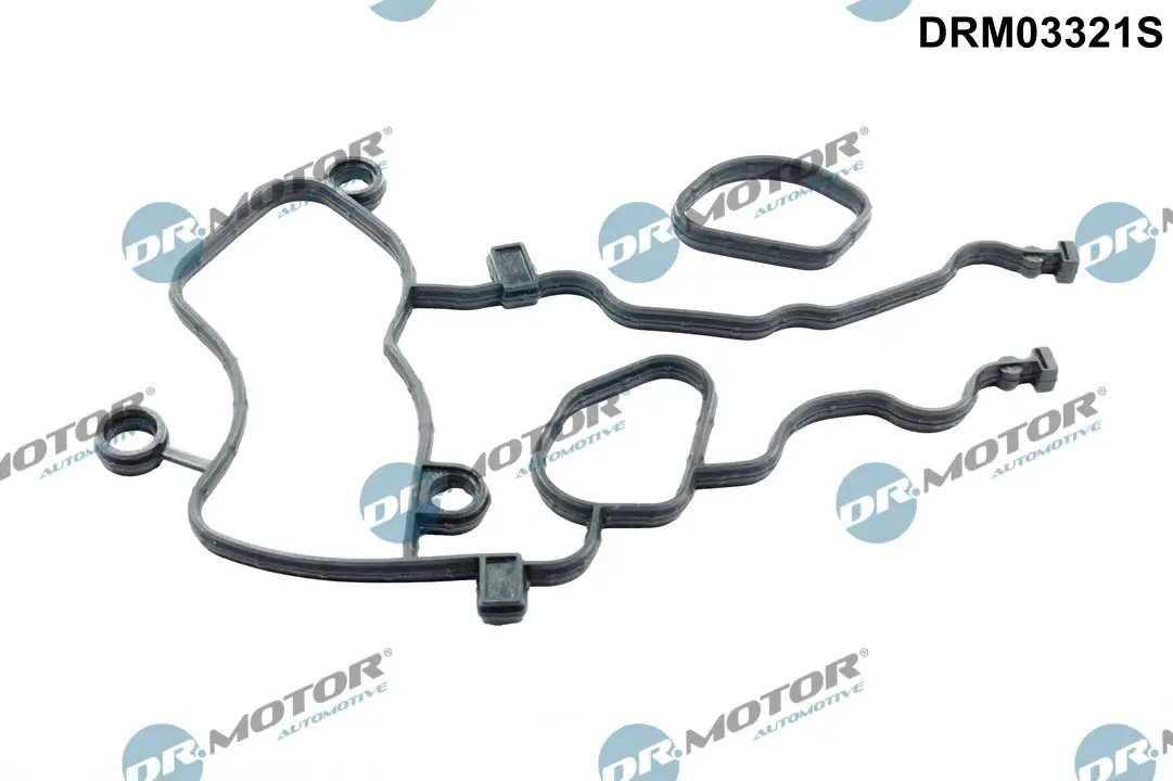 Dichtungssatz, Steuergehäuse Dr.Motor Automotive DRM03321S