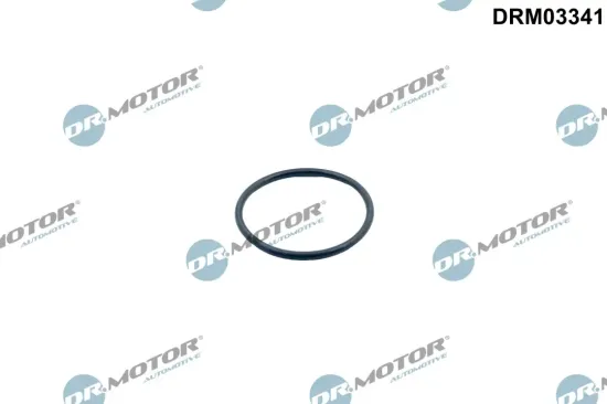 Dichtung, Thermostat Dr.Motor Automotive DRM03341 Bild Dichtung, Thermostat Dr.Motor Automotive DRM03341