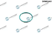 Dichtung, Abgasrohr vor Katalysator Dr.Motor Automotive DRM03481