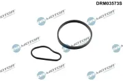 Dichtungssatz, Unterdruckpumpe Dr.Motor Automotive DRM03573S