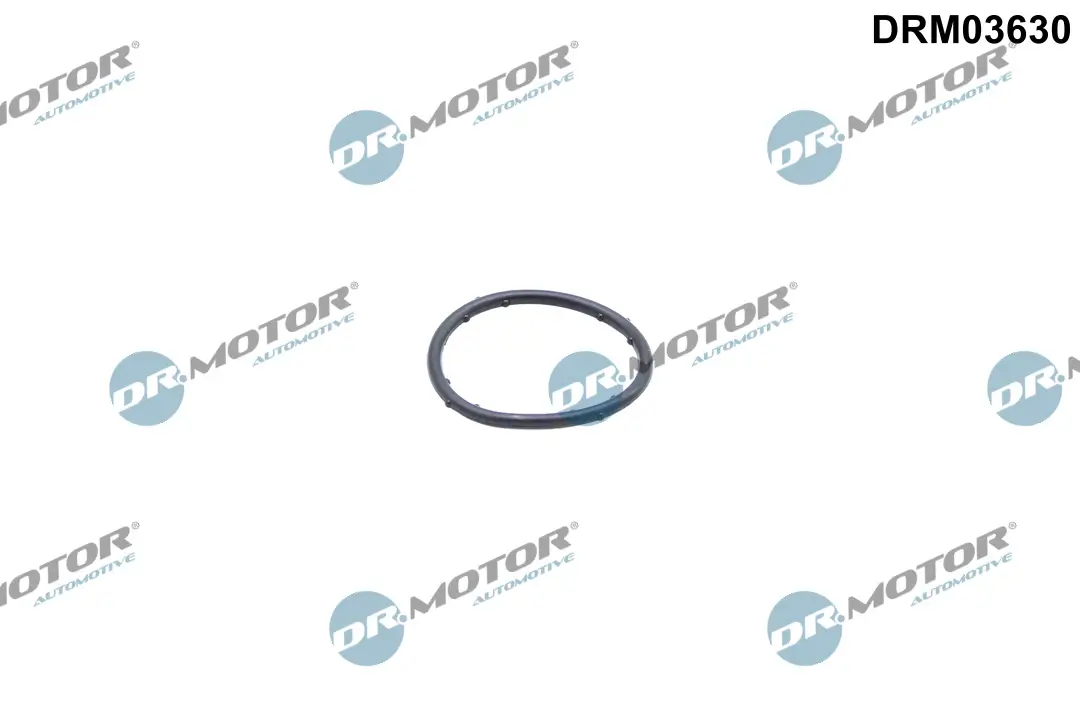 Dichtung, Kühlmittelflansch Dr.Motor Automotive DRM03630