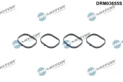 Dichtungssatz, Ansaugkrümmer Dr.Motor Automotive DRM03655S