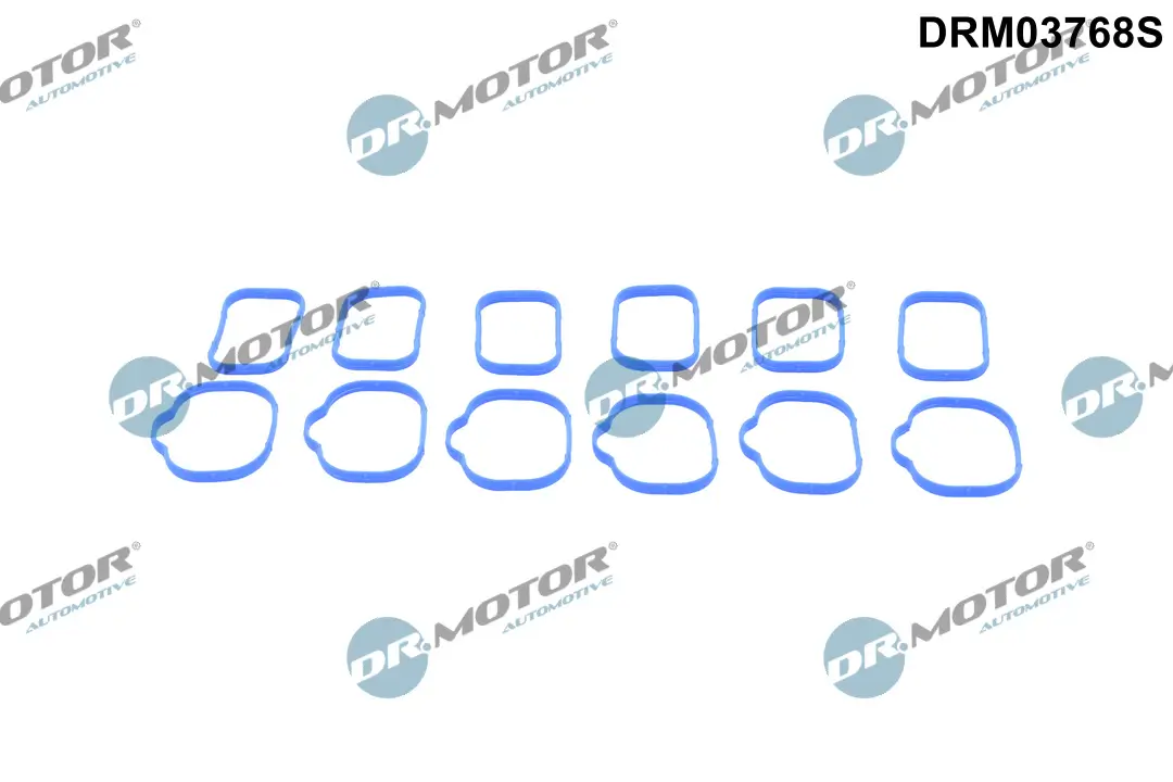 Dichtungssatz, Ansaugkrümmer Dr.Motor Automotive DRM03768S