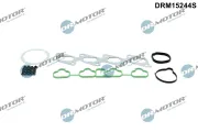 Dichtungssatz, Zylinderkopf Dr.Motor Automotive DRM15244S
