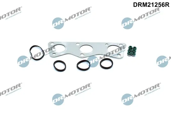 Dichtungssatz, Zylinderkopf Dr.Motor Automotive DRM21256R Bild Dichtungssatz, Zylinderkopf Dr.Motor Automotive DRM21256R