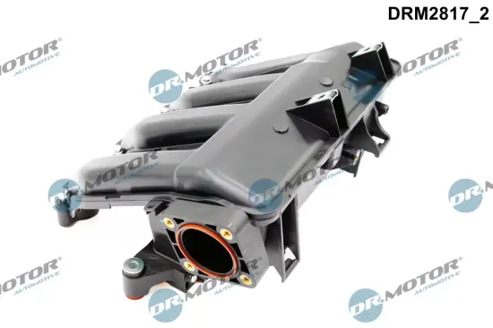 Saugrohrmodul Dr.Motor Automotive DRM2817 Bild Saugrohrmodul Dr.Motor Automotive DRM2817