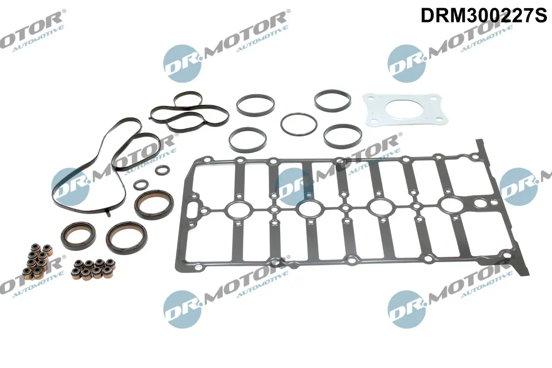 Dichtungssatz, Zylinderkopf Dr.Motor Automotive DRM300227S