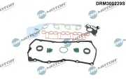 Dichtungssatz, Zylinderkopf Dr.Motor Automotive DRM300229S